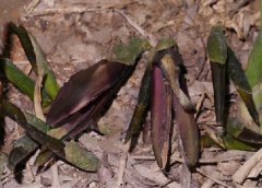 �����Ӵ����������������꣬ȴ������֪����ֵ����